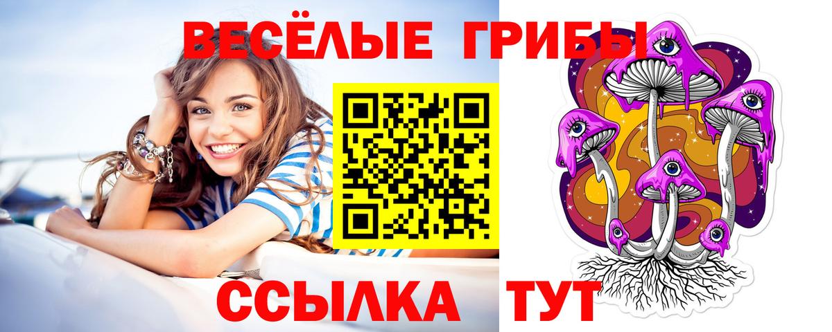 Псилоцибиновые грибы MAGIC MUSHROOMS Выборг