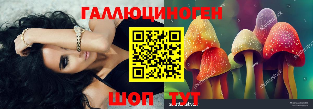 Псилоцибиновые грибы Magic Shrooms  Вход с VPN  дарнет шоп  Выборг 